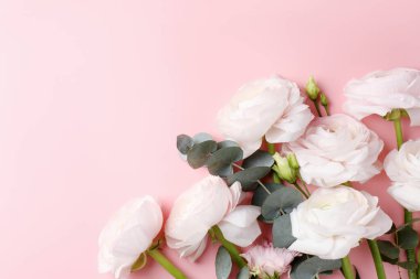 Pembe arka planda güzel ranunculus çiçekleri ve okaliptüs. Metin için boşluk