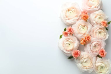 Beyaz arka planda güzel ranunculuslar ve güller, düz yatış. Metin için boşluk