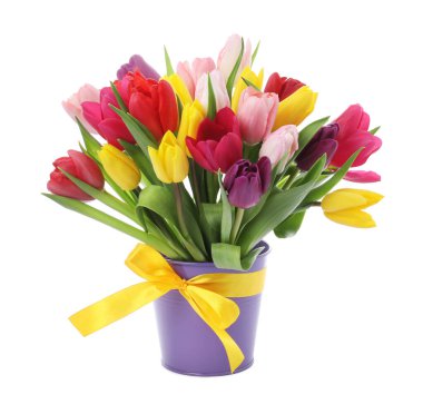 Beyaz izole renkli Lale buketi