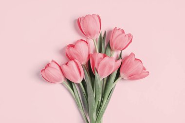 Güzel Lale pembe arka plan, üstten görünüm