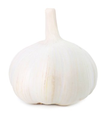 Bir taze sarımsak soğanı beyaza izole edilmiş.