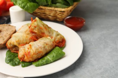 Gri masada servis edilen lezzetli lahana dürümleri, yakın plan. Metin için boşluk