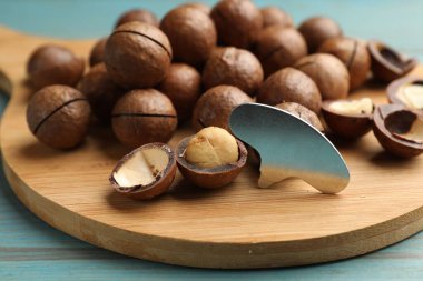 Macadamia cevizleri ve metal anahtar açık mavi ahşap masada, yakın plan.
