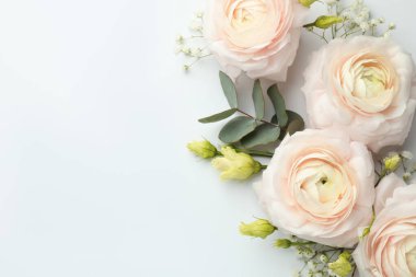 Beyaz arka planda güzel ranunculuslar ve güller, düz yatış. Metin için boşluk