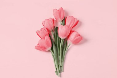 Pembe arka planda güzel laleler, üst manzara. Metin için boşluk