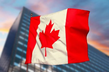 Kanada bayrağı bina önünde sallanıyor. Ulusal sembol