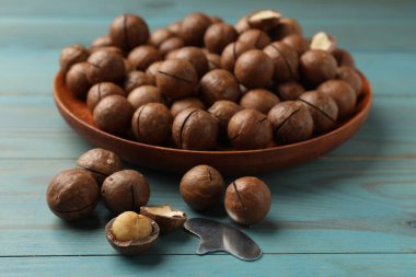 Macadamia cevizleri ve metal anahtar açık mavi ahşap masada, yakın plan.