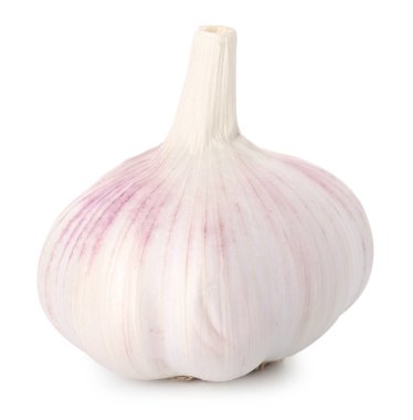 Bir taze sarımsak soğanı beyaza izole edilmiş.