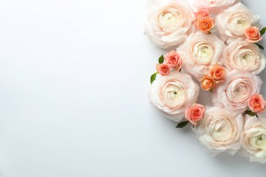 Beyaz arka planda güzel ranunculuslar ve güller, düz yatış. Metin için boşluk