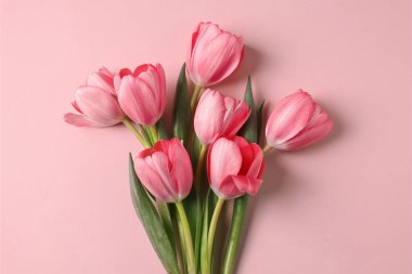 Güzel Lale pembe arka plan, üstten görünüm