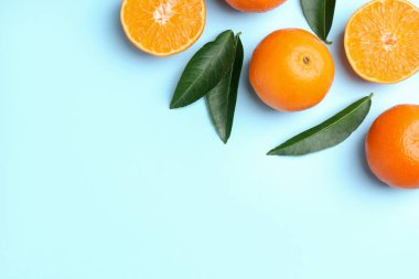 Taze taze mandalina ve açık mavi arka planda yapraklar, düz. Metin için boşluk