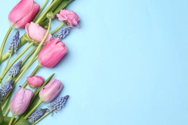 Açık mavi arka planda güzel bahar çiçekleri, düz uzanmış. Metin için boşluk