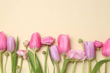 Bej arka planda güzel bahar çiçekleri, düz yatış. Metin için boşluk