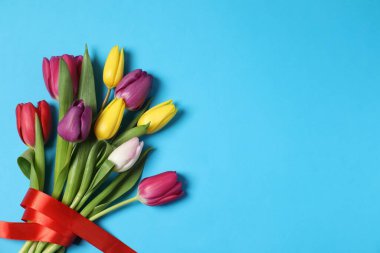 Açık mavi arka planda güzel renkli lale çiçekleri, üst manzara. Metin için boşluk