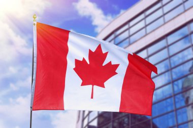 Kanada bayrağı bina önünde sallanıyor. Ulusal sembol