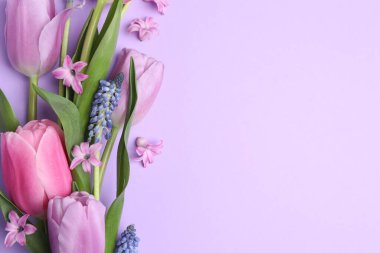 Menekşe arka planda güzel bahar çiçekleri, düz uzanmış. Metin için boşluk