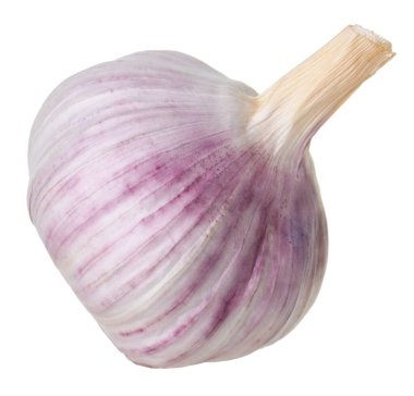 Bir taze sarımsak soğanı beyaza izole edilmiş.