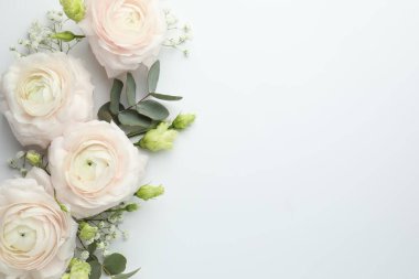 Beyaz arka planda güzel ranunculuslar ve güller, düz yatış. Metin için boşluk