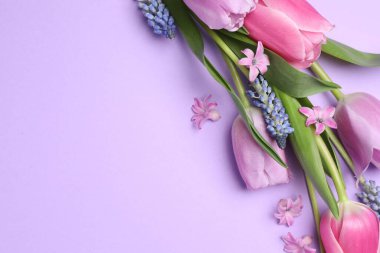 Menekşe arka planda güzel bahar çiçekleri, düz uzanmış. Metin için boşluk