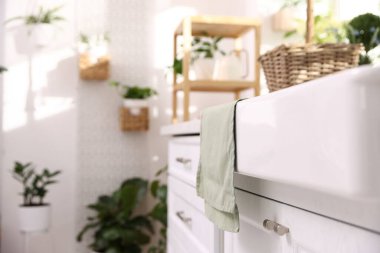 İç dizayn. Saksı çiçekleri ve tezgahı olan şık bir mutfak. Yakın plan.