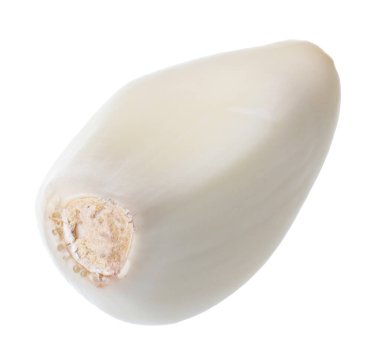 Bir taze sarımsak karanfili beyaza izole edilmiş.