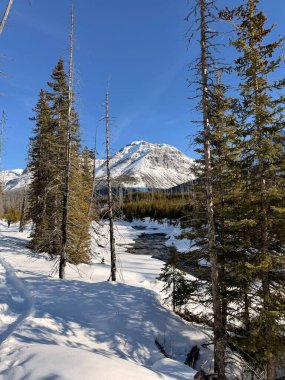 Kış günü karla kaplı dağların resimli görüntüsü.