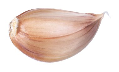 Bir taze sarımsak karanfili beyaza izole edilmiş.