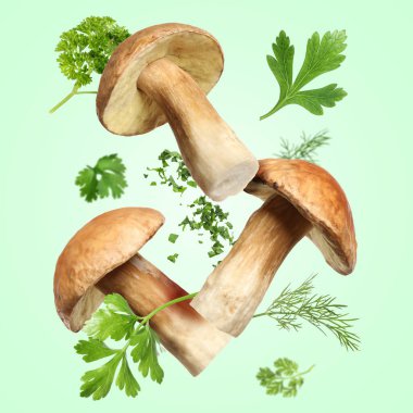 Hafif turkuaz arka plana düşen taze mantar ve bitkiler