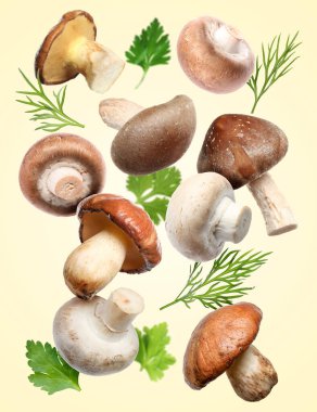 Taze mantarlar ve bej arka plana dökülen bitkiler