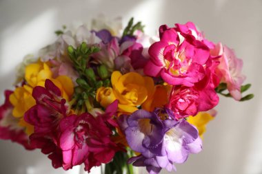 Beyaz duvarın yanında güzel frezya çiçekleri, yakın plan.