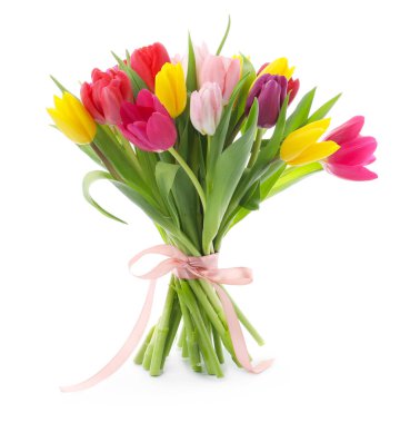 Beyaz izole renkli Lale buketi