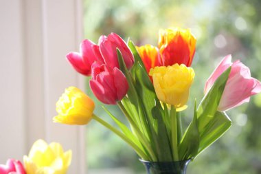 Pencerenin yanındaki güzel bahar çiçekleri, yakın plan.