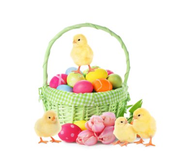 Mutlu Paskalyalar. Parlak yumurtalı sepet, güzel piliçler ve beyaz arka planda lale çiçekleri.