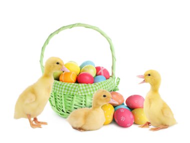 Mutlu Paskalyalar. Boyanmış yumurtalı sepet ve beyaz arka planda sevimli ördekler.