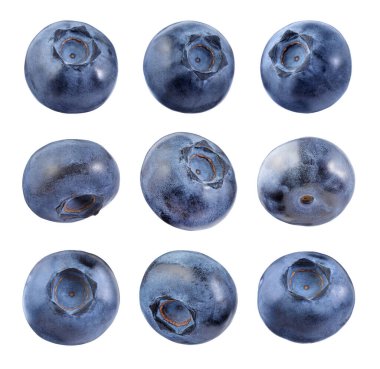 Taze olgun yaban mersinleri. Beyazlar üzerinde izole edilmiş.