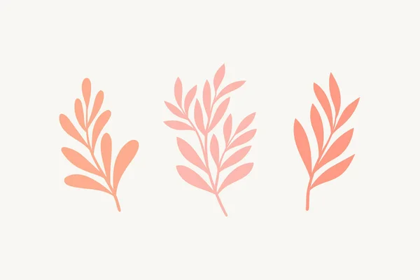 Conjunto Elementos Vectoriales Botánicos Ilustración Dibujada Mano Con Hojas Plantas — Vector de stock