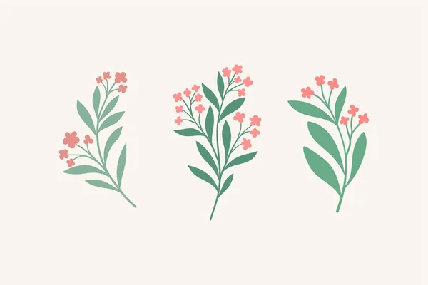 Uppsättning Botaniska Vektorelement Handritad Illustration Med Blad Och Växter Blommor — Stock vektor
