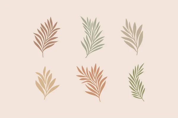 Set Elemente Vectoriale Botanice Ilustrație Desenată Manual Frunze Plante Ornamente — Vector de stoc