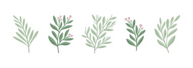 Çiçekli vektör elementleri kümesi. El yapımı yapraklar izole. Dekorasyon ve baskı tasarımı için botanik illüstrasyon.