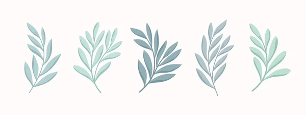一组矢量花卉元素 手绘树叶隔绝 装饰用植物学图解 印刷品设计 — 图库矢量图片