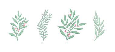 Çiçekli vektör elementleri kümesi. El yapımı yapraklar izole. Dekorasyon ve baskı tasarımı için botanik illüstrasyon.