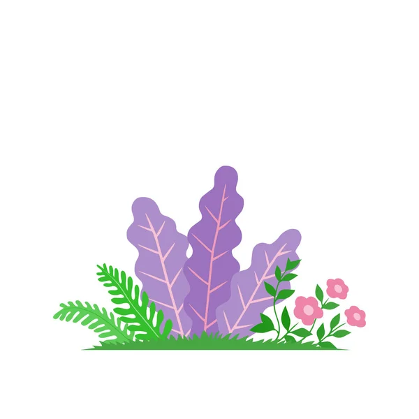 Hermosas Plantas Flores Sobre Fondo Blanco Plantilla Para Decoración Diseño — Vector de stock