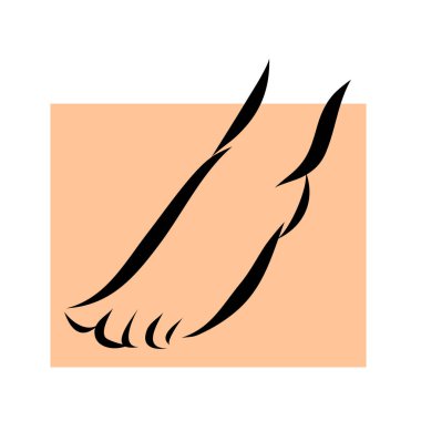 Pedikür için kadın ayağı ikonu. Beyaz arka planda çizgi çizimi. Vücut bakımı ve güzellik. Vektör izole illüstrasyonu.