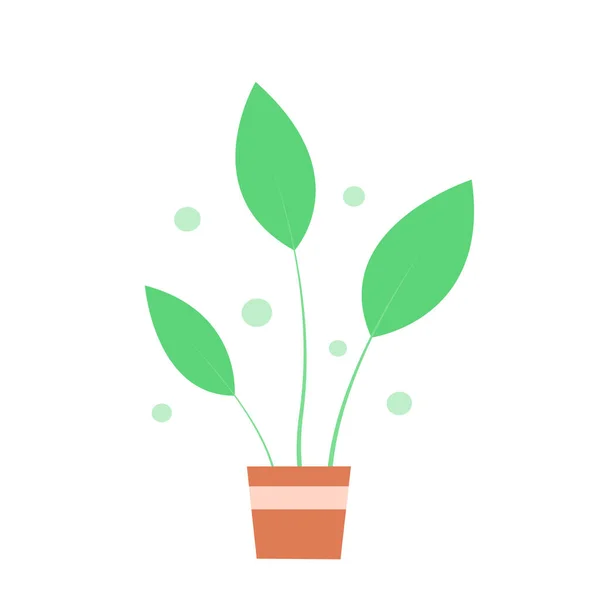 Groene Binnenplant Een Pot Een Witte Achtergrond Vector Geïsoleerde Illustratie — Stockvector