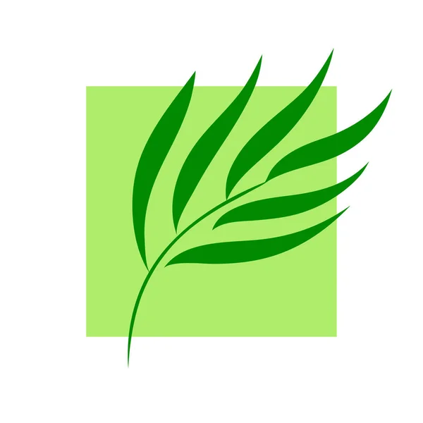 Logo Carré Vectoriel Avec Plante Verte Symbole Nature Spa Fraîcheur — Image vectorielle