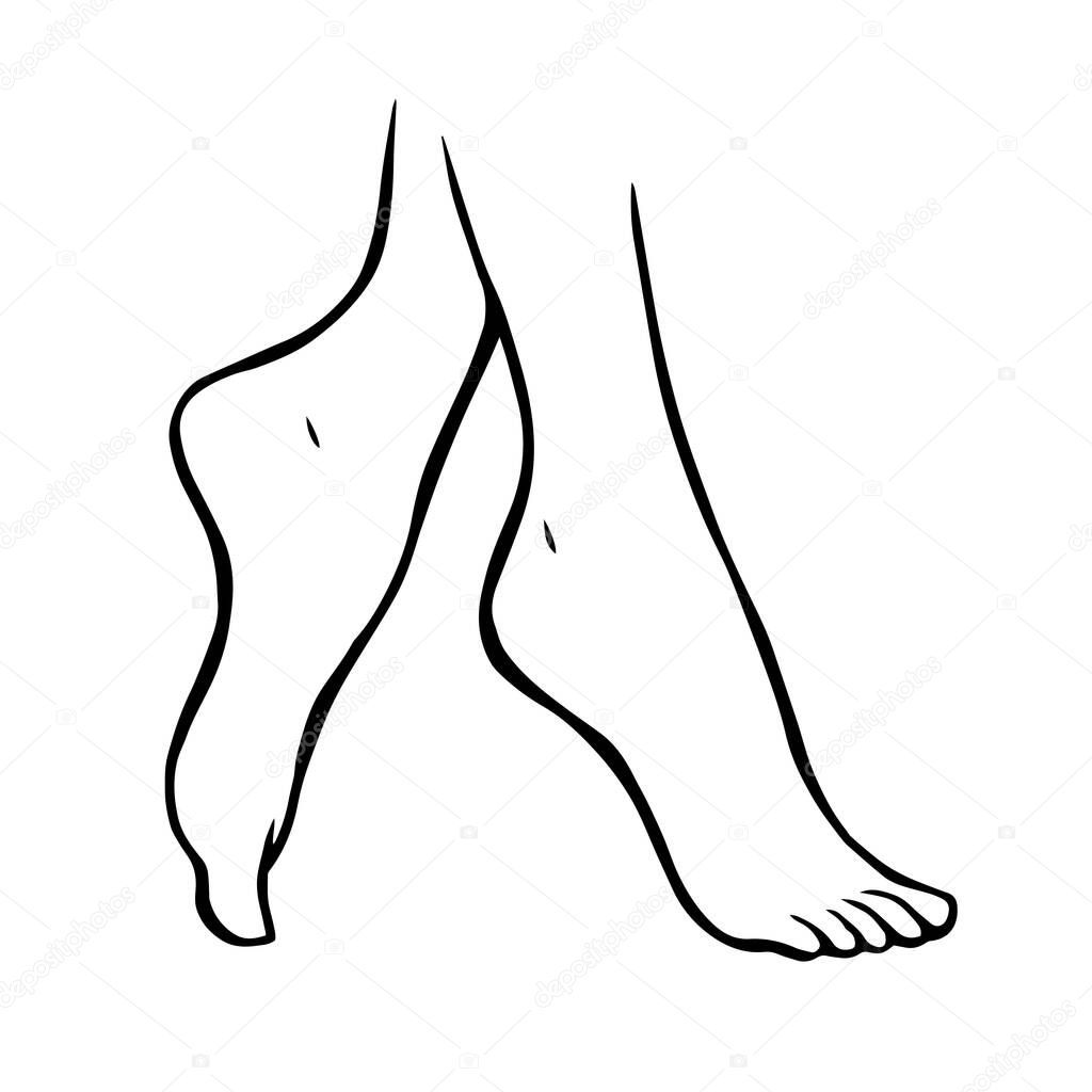Line drawing of female legs on a white background. Pedicure, body care and beauty. Vector isolated sketch illustration