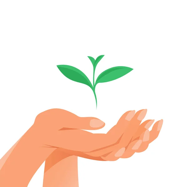 Female Hand Carefully Holds Green Sprout Plant Illustration White Background — Stock Photo, Image