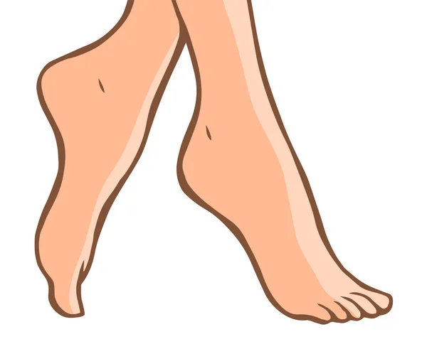 女性の足の線画 ペディキュア ボディケアと美しさ 白地イラスト概要 — ストック写真