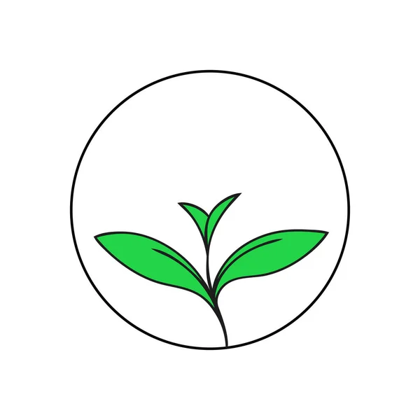 Зелений Молодий Паросток Рослини Символ Екології Начерк Ілюстрації Білому Тлі — стокове фото