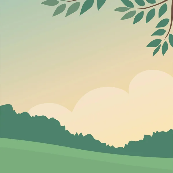 平静宁静的夏季森林景观 绿树和树叶 早上或晚上的天空 背景卡通画 — 图库照片